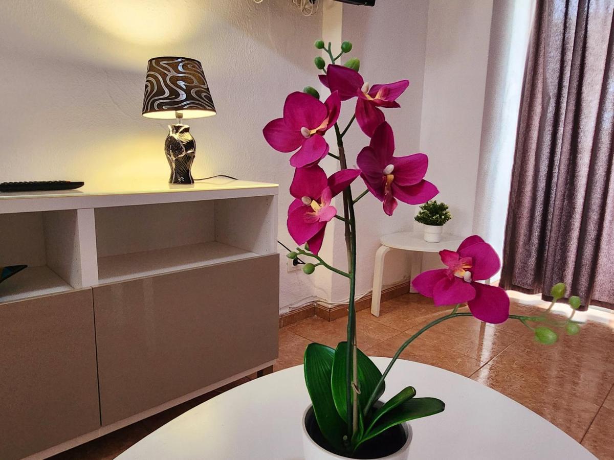 Vivienda Vacacional - Barbados Apartments - 2 Bedrooms #4 마스팔로마스 외부 사진